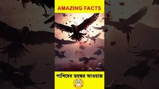 পাখিদের ভয়ঙ্কর আওয়াজ ! #facts#factshorts#fact#shorts #birds#viralvideo#viralshorts#reels