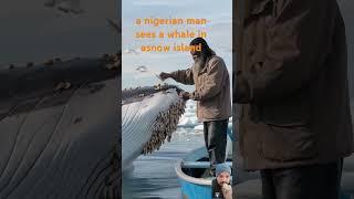 a nigerian man sees a whale in asnow island #fishing #whalefin #subscribe #subserib #subsrib#follow