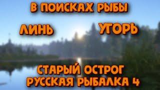 Линь и угорь на старом остроге. Нежданный амур. Рыбачим с прикормкой на угря. Русская рыбалка 4.