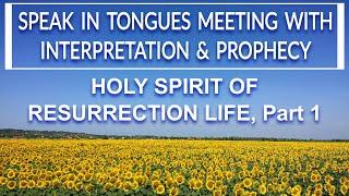 Prayer & Interpretation of Tongues/ Prophecy/ HOLY SPIRIT OF RESURRECTION LIFE IN US, Part 1