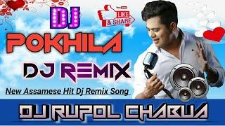 Pokhila || Neel Akash  || New Hit  Assamese DJ Song || DJ RupoL Chabua 2021