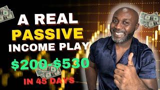 Real Passive Income Strategy - Make Money Online Using This Hidden Gem