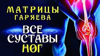 Матрицы Гаряева для Восстановления всех Суставов Ног ️ Полное Восстановление Суставов Звуком