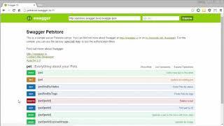 How To: Use the Swagger Demo