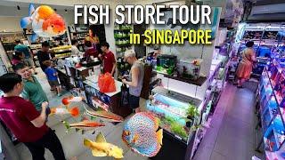 This Singapore Fish Store gets BIGGER & BETTER!!