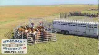 WW Express Portable Cattle Corral