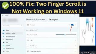 100% Fix: Two Finger Scroll is Not Working on Windows 11