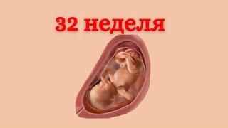 32 неделя беременности или 34 акушерская #Развитиепонеделям
