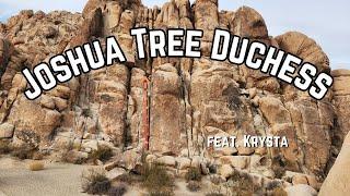 Joshua Tree - Duchess 5.6