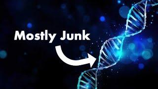 Junk DNA... It's a Thing