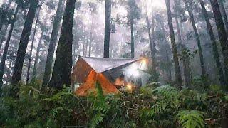 ️ RAIN FOREST Camping, heavy rain camping ️ (Silent Vlog)