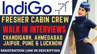 IndiGo Hiring Cabin Crew Freshers | Indian Aviation Jobs