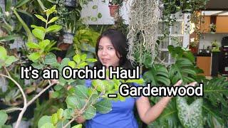 Orchid Haul|sharing review on Orchid seller|Sharing the Vendor contacts|not sponsored