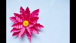 Easy Paper Flower Craft | DIY Paper Flower | Easy Paper Craft