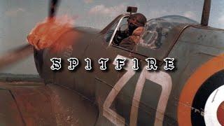 Spitfire ~ Edit | Endless Night