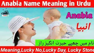 Anabia Name Meaning in Urdu - Anabia Muslim Girl Name Urdusy