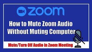 How to mute zoom audio without muting computer