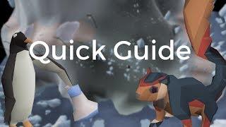 Giant Squirrel Guide - Penguin Course!