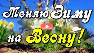 Доброе утро! Здравствуй, Весна! С первым днем весны! Красивая музыкальная открытка. С началом весны.