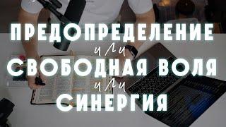 Кальвинизм или Арминианство? Предопределение или Свобода воли? Или  Синергия? - Михаил Крюков