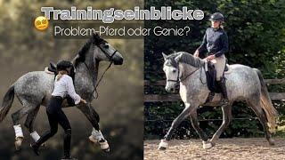 Erster Ritt Zuhause | Problem-Pferd? + Trainingseinblicke