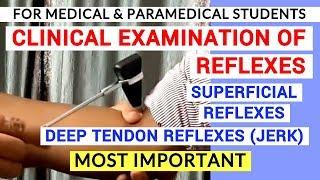 REFLEXES EXAMINATION | CLINICAL LAB | PHYSIOLOGY PRACTICALS