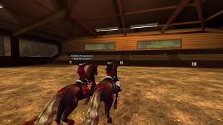 SSO Royal Knights Dressage With Caitlin Puppyland