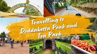 Exploring Doddabetta Peak: A Must-see Destination!