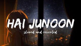 Hai Junoon - KK || Lyrical lofi video || Lit Jazz