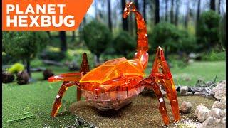 Planet HEXBUG - Episode 1:  The Scorpion