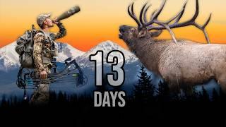 13 Day Archery Elk Hunt