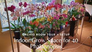 Orchid Room Tour + Setup | Indoor Grow Space for 40 Phalaenopsis