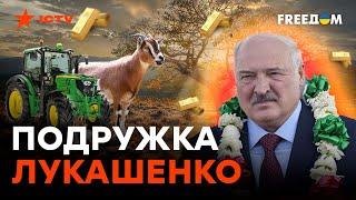 Лукашенко обзавелся подружкой в Зимбабве — это что-то