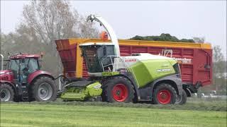 Bart Sprangers gras hakselen 2021 (1) , Claas Jaguar 960