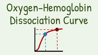 Oxygen Hemoglobin Dissociation Curve