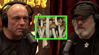 Mushroom Expert Paul Stamets on the Benefits of Micro-dosing