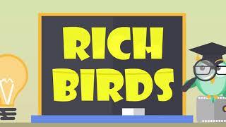 Rich Birds. Экономическая игра с выводом реальных денег!