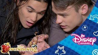 Disney Channel Dares | Thomas and Booboo | Spider Challenge  | Official Disney Channel Africa