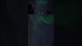 the #northernlights from my backyard #auroraborealis #djipocket3 #timelapse