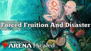 Forced Fruition And Disaster | Wilds Of Eldraine Sealed | MTG Arena