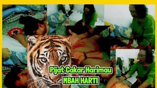 PIJAT TRADISIONAL || PIJAT CAKAR HARIMAU MBAH HARTI, MASUK ANGIN PAPA LANGSUNG KABUR