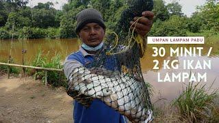 Memancing ikan lampam | 30 minit 2 kilo ikan lampam