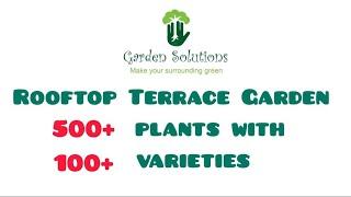 Roof top Terrace Garden | 500+ Plants | 100+ varieties #rooftopgarden #terracegarden #balconygarden