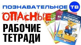 Чем опасны рабочие тетради школьника? (Познавательное ТВ, Айрат Димиев)