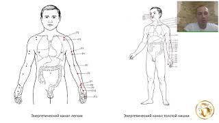 Вебинар: Энергетические каналы человека и их связь с органами