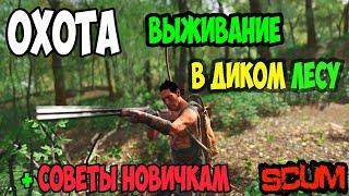 ГАЙД SCUM | ОХОТА | ВЫЖИВАНИЕ В ДИКОМ ЛЕСУ С ЭЛЕМЕНТАМИ ОХОТЫ В SCUM.  #scum #скам #выживание #охота