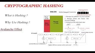 Cryptographic, Basics, SHA256