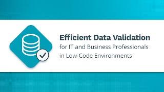 Efficient Data Validation for IT and Business Professionals in Low-Code Environments