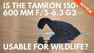 Tamron 150-600mm G2 How to Use it for Wildlife Photography and Review