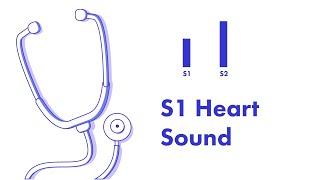 S1 Heart Sound - Learn How to Auscultate (Part 8)